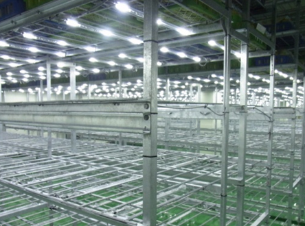 plant_led04
